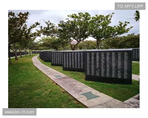 卡塔尔世界杯X21传奇之路：从赛场到球迷心中的永恒记忆